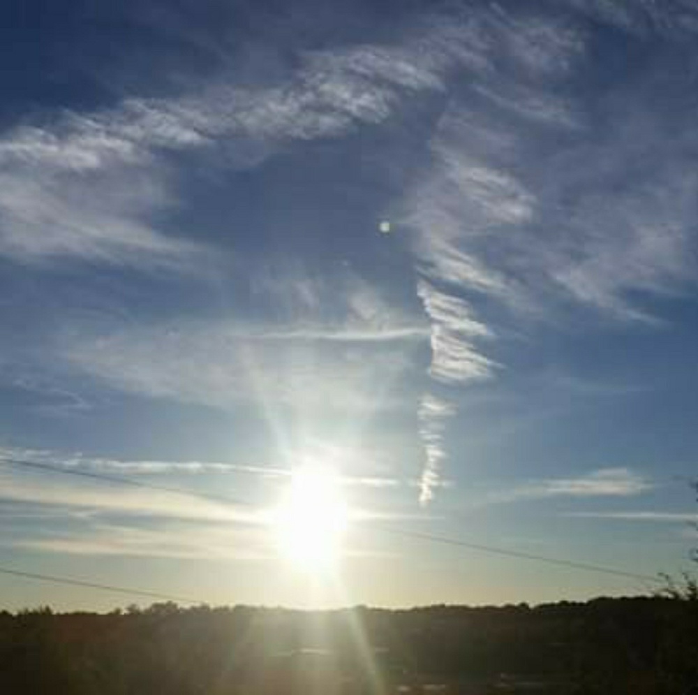 Meet your Posher, Quincy